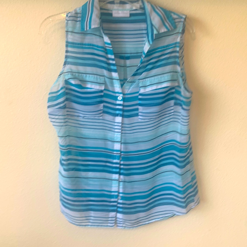 Brand New New York And Company Blue Striped Sleeveless Blouse